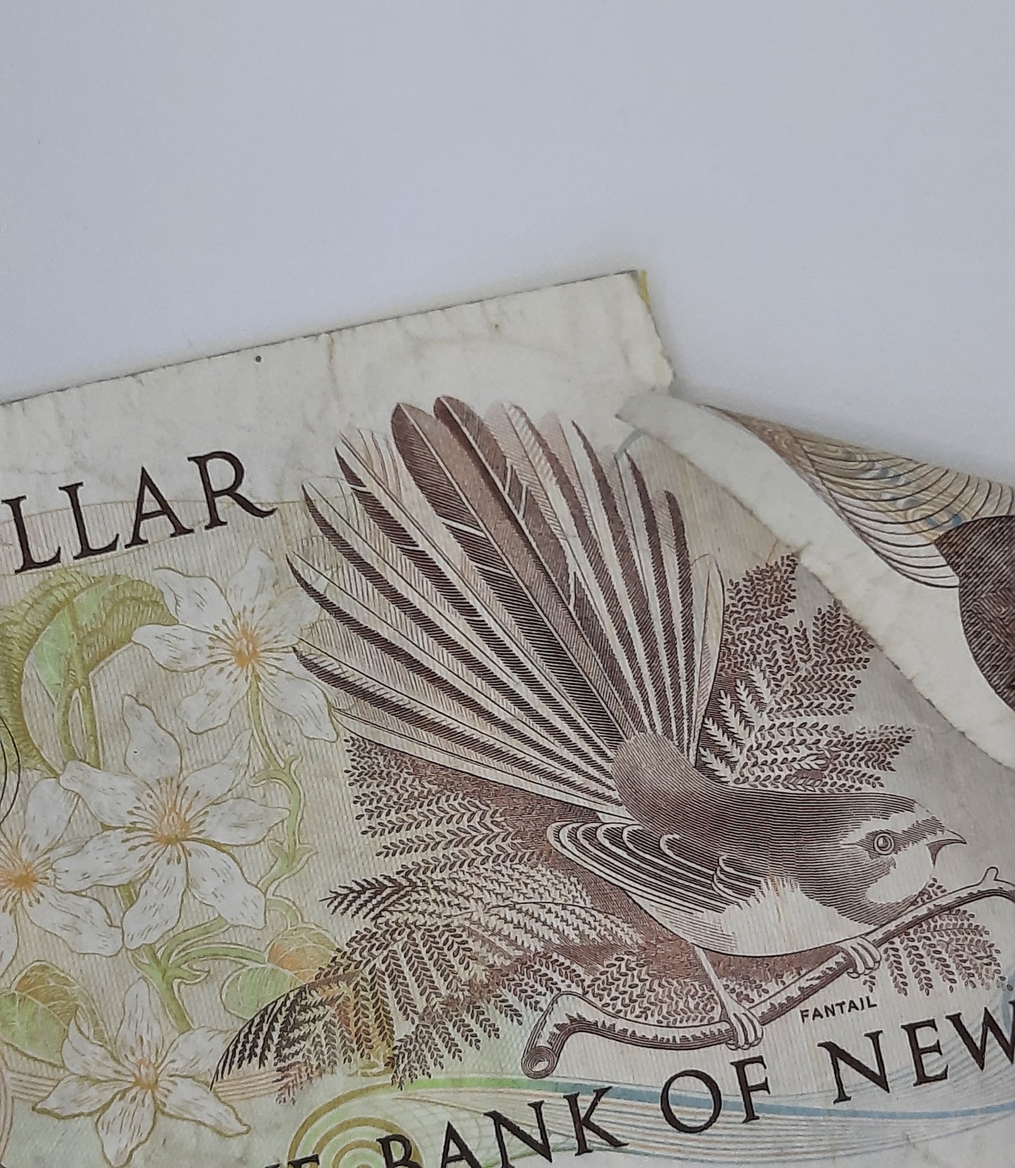 1985 - Reserve Bank of New Zealand - $1 (One) NZD Dollar Banknote, Serial No. ALN 486617 P-169b